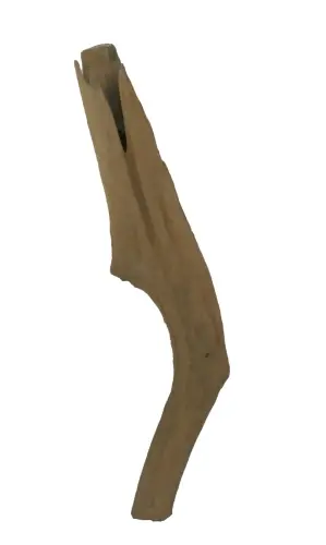 Product image of the product “Root made of teak wood, around 95 - 130 cm Height. May vary shapes. ”